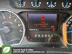 2013 Ford F-150 SuperCrew Cab 4x4 Pickup for sale #6E52002 - photo 3