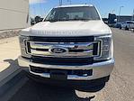 2019 Ford F-250 Crew Cab 4x4 Pickup for sale #6E78310 - photo 9