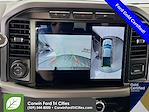 2024 Ford F-150 SuperCrew Cab 4WD Pickup for sale #8D29407 - photo 21