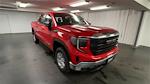 New 2025 GMC Sierra 1500 Pro Crew Cab 4WD Pickup for sale #253291 - photo 3