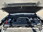 New 2025 GMC Canyon AT4 Crew Cab for sale #253410 - photo 19