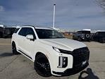 Used 2024 Hyundai Palisade Calligraphy Night Edition AWD SUV for sale #25T0248 - photo 1