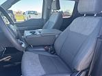 2023 Ford F-150 SuperCrew Cab 4WD Pickup for sale #25T1024 - photo 10