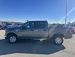 2023 Ford F-150 SuperCrew Cab 4WD Pickup for sale #25T1024 - photo 4