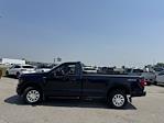 2024 Ford F-150 Regular Cab 4WD Pickup for sale #B25012A - photo 6