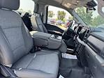 2024 Ford F-150 Regular Cab 4WD Pickup for sale #B25012A - photo 8
