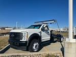 2025 Ford F-600 Regular Cab DRW 4WD Cab Chassis for sale #F25109 - photo 2