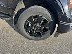 2022 Ford F-150 SuperCrew Cab 4WD Pickup for sale #T25023A - photo 41