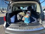 2019 Infiniti QX80 RWD SUV for sale #176993X - photo 15