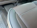 New 2025 GMC Sierra 1500 Denali Crew Cab 4x4 Pickup for sale #244264X - photo 20