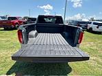 2025 GMC Sierra 1500 Crew Cab 4x4 Pickup for sale #291215 - photo 34
