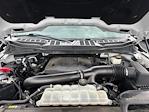 2022 Ford F-150 SuperCrew Cab 4x4 Pickup for sale #2G4923 - photo 35