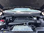 2023 Ford F-150 SuperCrew Cab 4x4 Pickup for sale #2G4930 - photo 35