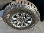 2025 GMC Sierra 1500 Crew Cab 4x4 Pickup for sale #341939 - photo 12