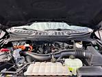 2024 Ford F-150 SuperCrew Cab 4WD Pickup for sale #8G5057 - photo 33