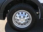 2024 Ford Transit 250 Low Roof AWD Empty Cargo Van for sale #D22650 - photo 14