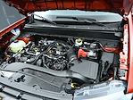 2024 Ford Maverick SuperCrew Cab AWD Pickup for sale #D29521 - photo 17