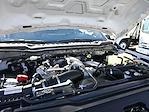 2025 Ford F-350 Crew Cab SRW 4x4 Pickup for sale #E24010 - photo 28