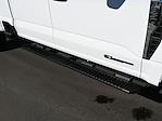 2025 Ford F-350 Crew Cab DRW 4x4 Pickup for sale #E24040 - photo 11