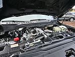 2025 Ford F-350 Crew Cab SRW 4x4 Pickup for sale #E24160 - photo 14