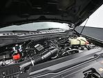 2024 Ford F-350 Regular Cab SRW 4WD Pickup for sale #E24161 - photo 10