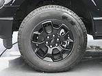 2025 Ford F-150 SuperCrew Cab 4x4 Pickup for sale #E24600 - photo 12