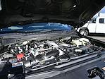 2025 Ford F-350 Crew Cab SRW 4x4 Pickup for sale #E24670 - photo 11