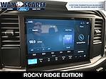 2025 Ford F-150 SuperCrew Cab 4x4 Pickup for sale #E25320 - photo 22