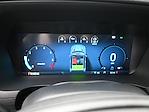 New 2025 Ford F-150 STX SuperCrew Cab 4x4 Pickup for sale #E25430 - photo 17