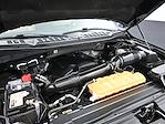 2017 Ford F-150 SuperCrew Cab 4x4 Pickup for sale #E25521 - photo 16