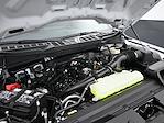 New 2025 Ford F-150 XL Regular Cab 4x4 Pickup for sale #E25700 - photo 13
