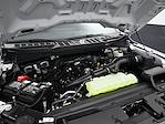 New 2025 Ford F-150 XL Regular Cab Pickup for sale #E25730 - photo 12