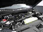 New 2025 Ford F-150 XL SuperCrew Cab 4x4 Pickup for sale #E25920 - photo 11