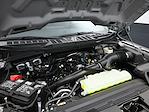 New 2025 Ford F-150 XL SuperCrew Cab 4x4 Pickup for sale #E25950 - photo 13