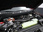2025 Ford F-150 SuperCrew Cab 4WD Pickup for sale #E27140 - photo 11