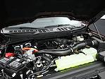2025 Ford F-150 SuperCrew Cab 4WD Pickup for sale #E27250 - photo 13