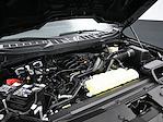 2024 Ford F-150 Regular Cab RWD Pickup for sale #E33600 - photo 10