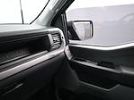 2024 Ford F-150 Regular Cab RWD Pickup for sale #E33600 - photo 19