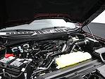 2025 Ford F-150 SuperCrew Cab 4WD Pickup for sale #E33880 - photo 10