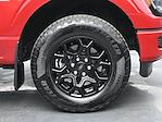 2025 Ford F-150 SuperCrew Cab 4WD Pickup for sale #E33880 - photo 30