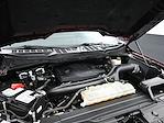 2021 Ford F-150 SuperCrew Cab 4WD Pickup for sale #E33890 - photo 11
