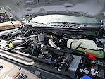 2024 Ford F-350 Crew Cab SRW 4WD Pickup for sale #E85000 - photo 20