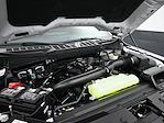 2026 Ford F-150 SuperCrew Cab 4WD Pickup for sale #F28760 - photo 11