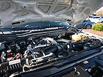 2020 Ford F-250 Crew Cab 4WD Pickup for sale #F34360 - photo 8