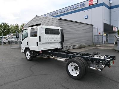 2024 Isuzu NQR Crew Cab 4x2 Cab Chassis for sale #D77910 - photo 2