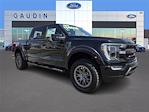 2022 Ford F-150 SuperCrew Cab 4x4 Pickup for sale #22T2171 - photo 1