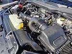 2023 Ford F-150 SuperCrew Cab 4x2 Pickup for sale #P15231 - photo 19