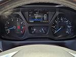 2019 Ford Transit 150 Low Roof 4x2 Empty Cargo Van for sale #25T0709A - photo 24
