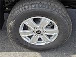 2025 Ford Ranger SuperCrew Cab RWD Pickup for sale #25T1566 - photo 6