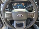 2025 Ford F-250 Crew Cab 4WD Pickup for sale #25T4341 - photo 10